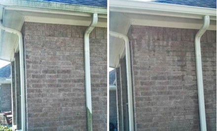 Photo of mildew removal, before & after