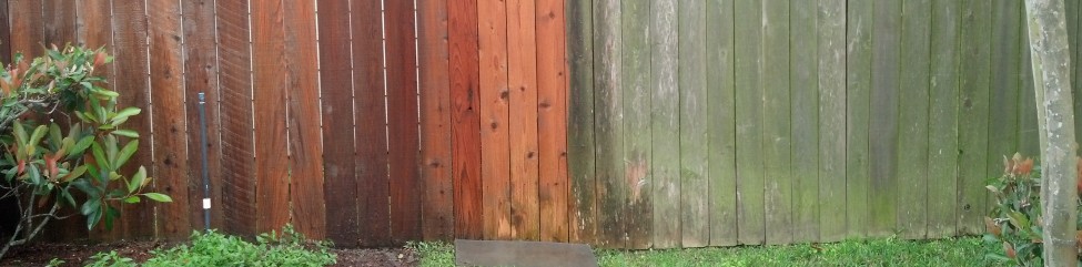 Pressure Washed Wood Fence