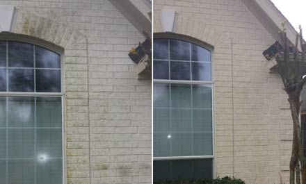 Mildew Removal- Before & After